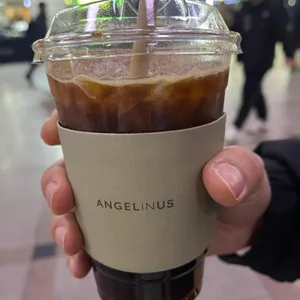 엔제리너스 사진