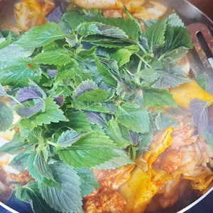 춘천1번지닭갈비 대표 사진