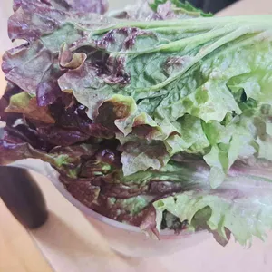 춘천1번지닭갈비 대표 사진