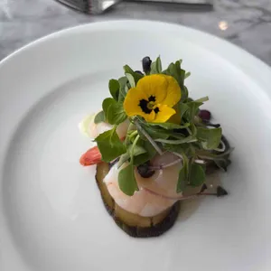 세빛섬 플로팅아일랜드 대표 사진