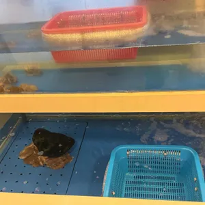 성가네 낙지마을 대표 사진