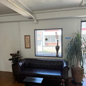 차하나 대표 사진