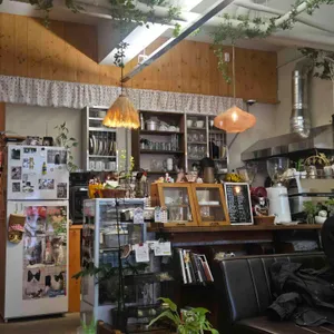 양말코히 대표 사진