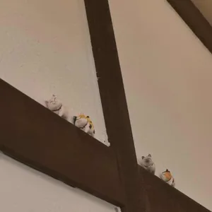 요모 대표 사진