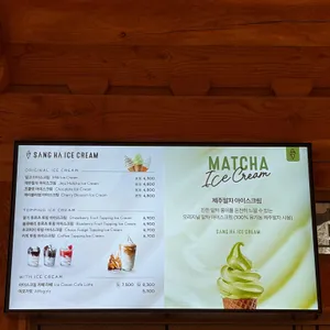 폴 바셋 리뷰 사진