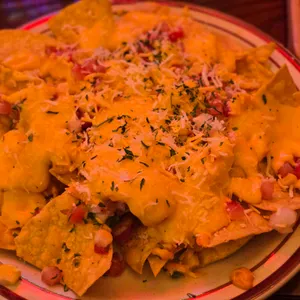 훌리스타코 사진 2