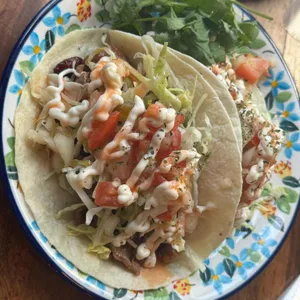 버뮤다삼각지 사진