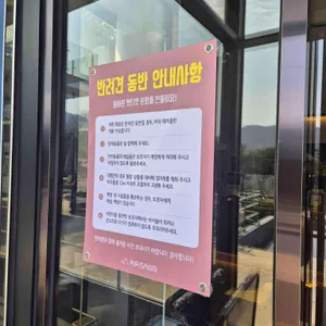 에어산 리뷰 사진