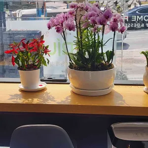 투썸플레이스 대표 사진