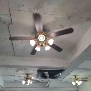 트와엣모아 대표 사진