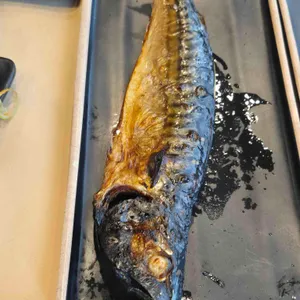 달빛에구운고등어 사진 1