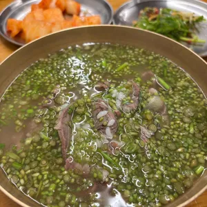 능동미나리 사진 2