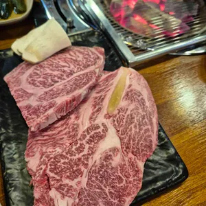 도니누가 대표 사진