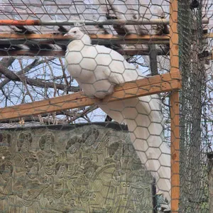 시티10 카페 대표 사진