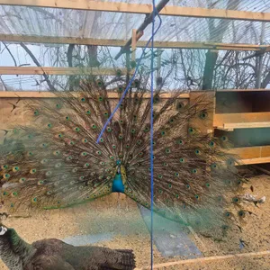 시티10 카페 대표 사진