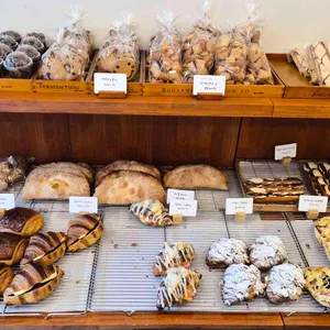 파이룸 대표 사진