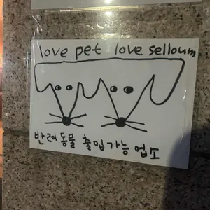 셀렘 리뷰 사진