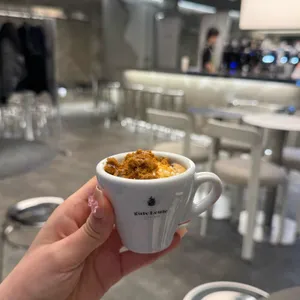 구테로이테 대표 사진