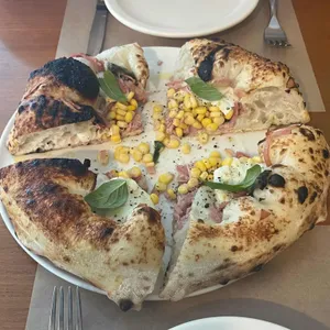 주토피아 대표 사진