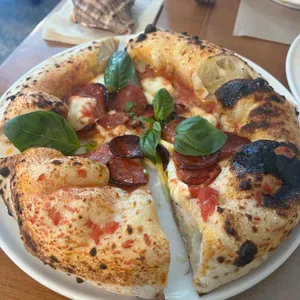 주토피아 대표 사진