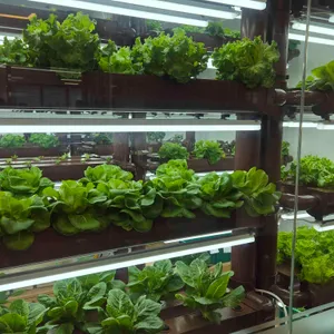 살라트앤올되다 대표 사진