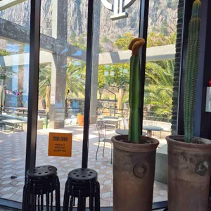 원앤온리 대표 사진