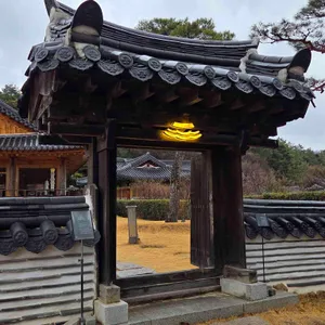 묘운 대표 사진