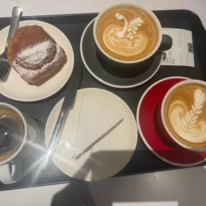 테라로사 사진 1