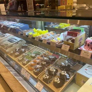 해피베어데이 대표 사진