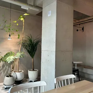 알 누오보 대표 사진