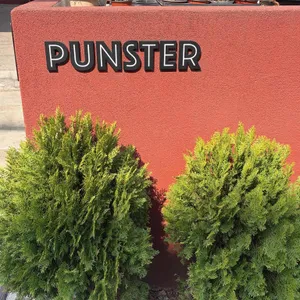 펀스터 대표 사진