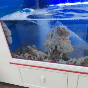 황금회포차 사진