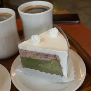 라조콩드 대표 사진