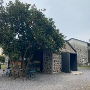 커피템플 리뷰 사진