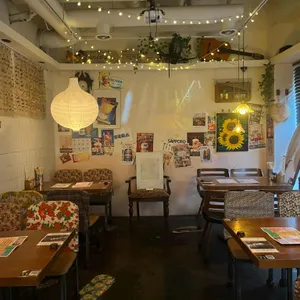 쿠시 대표 사진