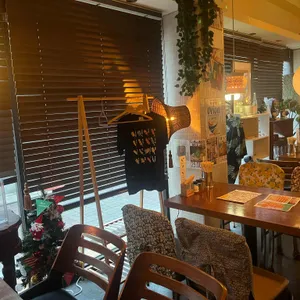 쿠시 대표 사진