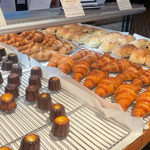 베이콜로지 빵학개론 대표 사진