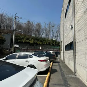 에메랄드그린 리뷰 사진