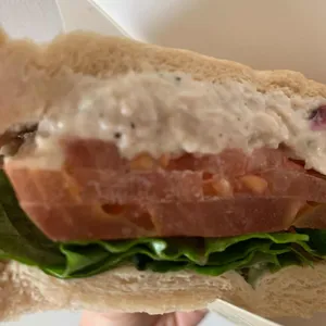 스타벅스 대표 사진