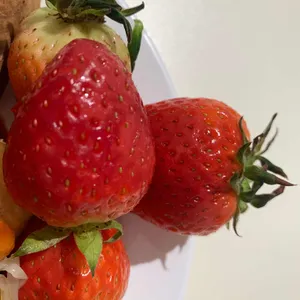 애슐리퀸즈 사진 1