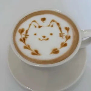 하모니아 사진