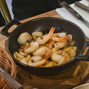 트라가 대표 사진