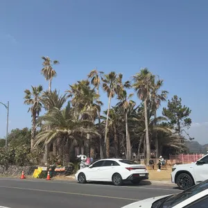 부젤라또 리뷰 사진