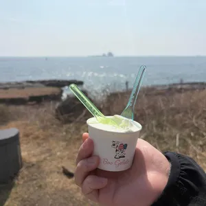 부젤라또 대표 사진