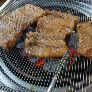 갈비둥지 대표 사진