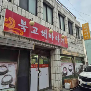 북교해바라기 사진