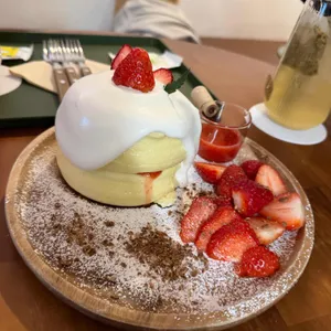 트라이브 대표 사진