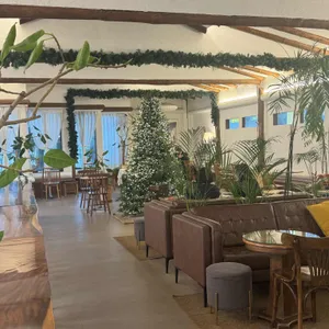 드메인 대표 사진