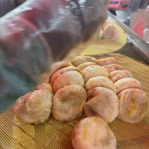 가메골 손만두 사진