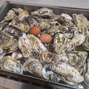 통굴통굴 사진 1